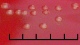 <p><b>Fig. 2.</b> Närbild på kolonier av <i>Erysipelothrix rhusiopathiae</i>, stam CCUG 221<sup>T</sup>, odlad aerobt under två dygn på hästblod-agar vid 37°C i närvaro av 5% CO<sub>2</sub>. Längden av hela skalstrecket motsvarar 5 mm. Datum: 2010-06-03.</p>

<p> </p>