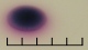 <b>Fig. 68:10.</b> Närbild på kolonier av <i>Escherichia coli</i>, odlad aerobt på "Chromogenic E. coli/coliform selective agar" under 24 timmar vid 30°C. Hela längden av skalstrecket motsvarar 5 mm. För mer information, se Fig. 68:2. Datum: 2010-06-17. <p>