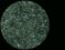 <p><b>Fig. 116:1.</b> Mörkfältsmikroskopibild av <i>Leptospira borgpetersenii</i>, serogrupp Sejroe, serovar Sejroe, stam M84. Notera den speciella morfologin: trådsmala bakterier med en krok i ena eller båda ändarna. Pilar visar på några bakterier där man kan se båda krokarna. Datum: 2011-03-15.</p>

<p> </p>