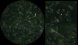 <p><b>Fig. 208:1.</b> Mörkfältsmikroskopering av <i>Borrelia anserina</i>, stam FSD Pakistan. Bild B och C visar delförstoringar av synfältet i bild A och där kan man ana bakteriens vågformade morfologi (jfr. Fig 208:2-3). Datum: 2011-04-26.</p>

<p> </p>