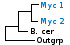 <strong>Fig. 119:1.</strong> Fylogenetiskt träd baserat på 16S rRNA-gensekvenser, som illustrerar släktskap mellan medlemmar av klassen <i>Mollicutes</i>. Alla taxa i trädet tillhör fylum <i>Tenericutes</i> utom <i>Bacillus cereus</i> och <i>Clostridium botulinum</i>, som tillhör fylum <i>Firmicutes</i> samt <i>Escherichia coli</i>, som tillhör fylum <i>Proteobacteria</i>. Mycoidesgruppens mykoplasmer samt de hemotropiska mykoplasmerna är markerade med vertikala linjer. Blåmarkerade taxa är inkluderade i VetBact och taxa i fet stil är aktuella på denna bakteriesida.</p> 

<p>Trädet genererades med hjälp av datorprogrammet "Tree Builder" på <a href="http://rdp.cme.msu.edu/" target="_blank">RDPs webbplats</a>. <i>E. coli</i> valdes som utgrupp. (T) betyder typstam. Datum: 2016-01-21.</p>