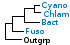 <strong>Fig. 218:1</strong> Fylogenetiskt träd baserat på 16S rRNA-gensekvenser, som illustrerar släktskap mellan medlemmar av följande fyla: <i>Cyanobacteria, Chlamydiae, Bacteroidetes</i> och <i>Fusobacteria</i>, som är markerade med vertikala linjer. Blåmarkerade taxa är inkluderade i VetBact och taxa i fet stil är aktuella på denna bakteriesida.</p> 

<p>Trädet genererades "on line" med hjälp av datorprogrammet "Tree Builder" på <a href="http://rdp.cme.msu.edu/" target="_blank">RDPs webbplats</a>. <i>E. coli</i> valdes som utgrupp. (T) betyder typstam. Datum: 2016-03-02.</p>