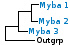 <strong>Fig. 9:1.</strong> Fylogenetiskt träd baserat på 16S rRNA-gensekvenser, som illustrerar släktskap mellan medlemmar av fylum <i>Actinobacteria</i>. Alla taxa i trädet tillhör detta fylum utom <i>Bacillus cereus</i> och <i>Clostridium perfringens</i>, som utgör en utgrupp och tillhör fylum <i>Firmicutes</i>. <i>Crossiella equi</i> har placerats inom ordningen <i>Pseudonocardiales</i> trots att den tycks vara mer närbesläktad med släktena <i>Rhodococcus</i> och <i>Nocardia</i>. De tre övriga ordningarna av fylum <i>Actinobacteria</i>, som finns representerade i VetBact, är markerade med vertikala linjer. Blåmarkerade taxa är inkluderade i VetBact och taxa i fet stil är aktuella på denna bakteriesida.</p> 

<p>Trädet genererades med hjälp av datorprogrammet "Tree Builder" på <a href="http://rdp.cme.msu.edu/" target="_blank">RDPs webbplats</a>. (T) betyder typstam. Datum: 2017-01-12.</p>
