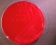 Rhodococcus equi