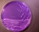 Rhodococcus equi