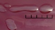 Rhodococcus equi