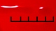 Rhodococcus equi