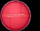 Rhodococcus equi