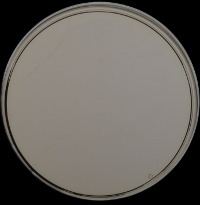 TSA agar